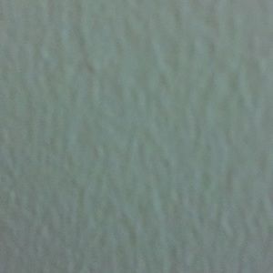 Meet your Posher, Nelson